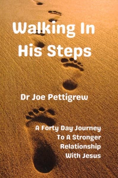 Walking In His Steps book cover